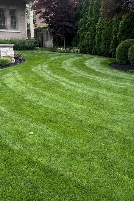 Landscaping and lawn care scene 1