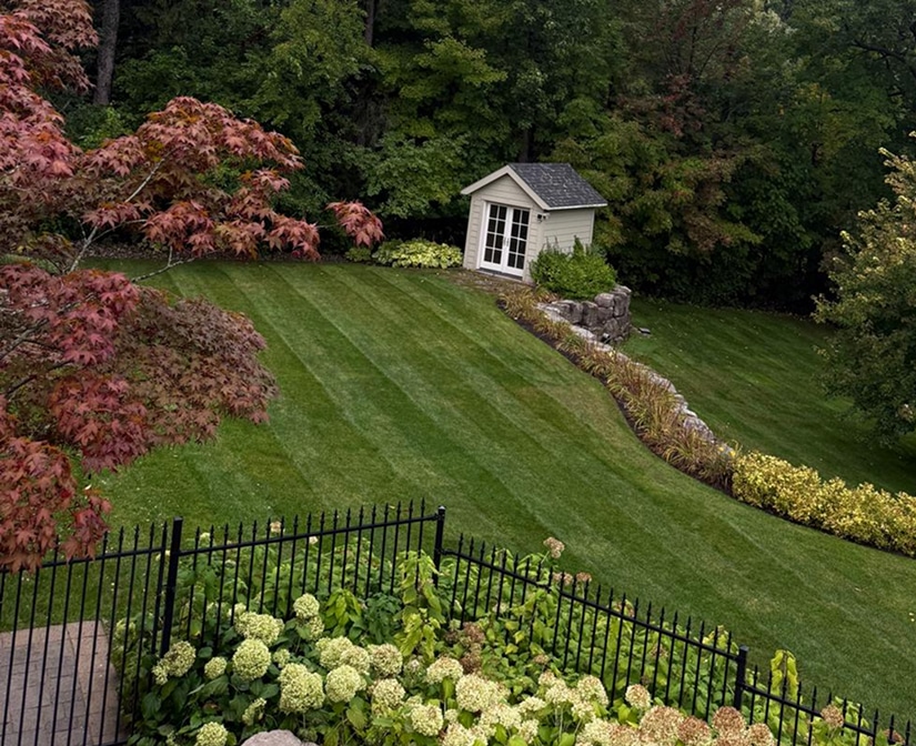 Lush backyard with striped lawn, garden shed, stone retaining wall, and landscaping.