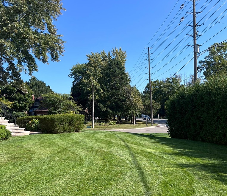 Lush backyard with striped lawn, garden shed, stone retaining wall, and landscaping.
