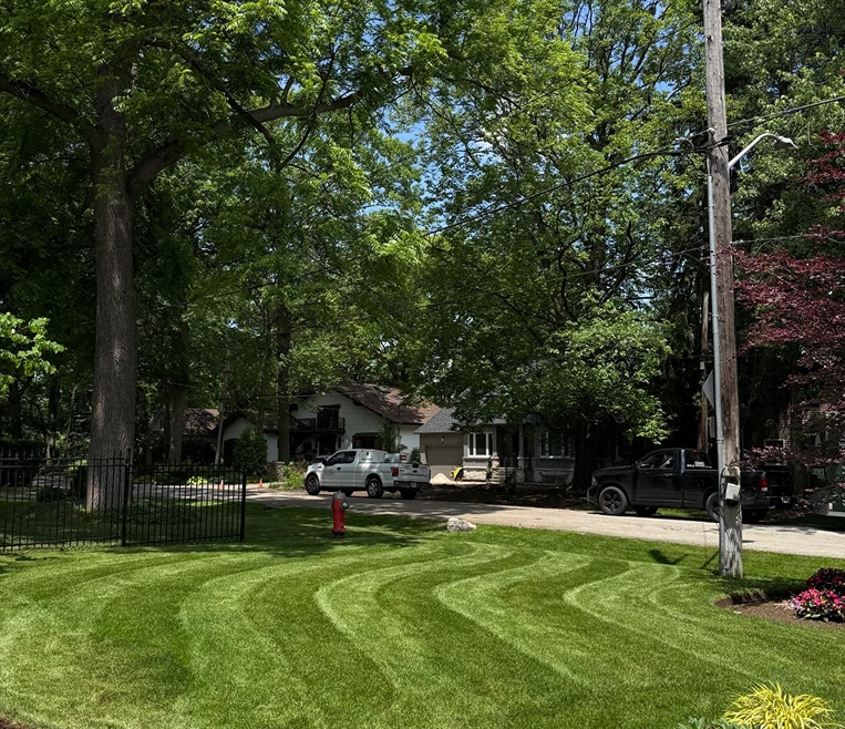 Lush backyard with striped lawn, garden shed, stone retaining wall, and landscaping.